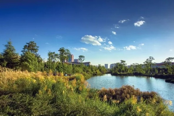 1558405702327176.jpg menu.saveimg.savepath20190521102724.jpg