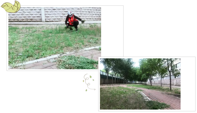 1558516375840199.png 1558516375840199.png