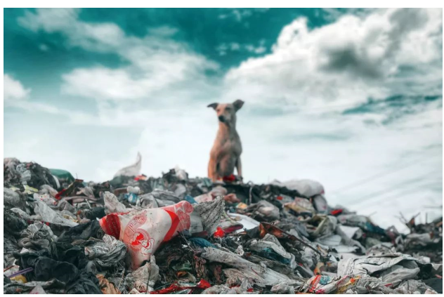 1561428718895647.png 1561428718895647.png